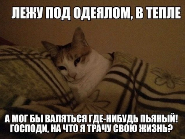 Всех с пятницей или традиционный алкопост от 21.06.19