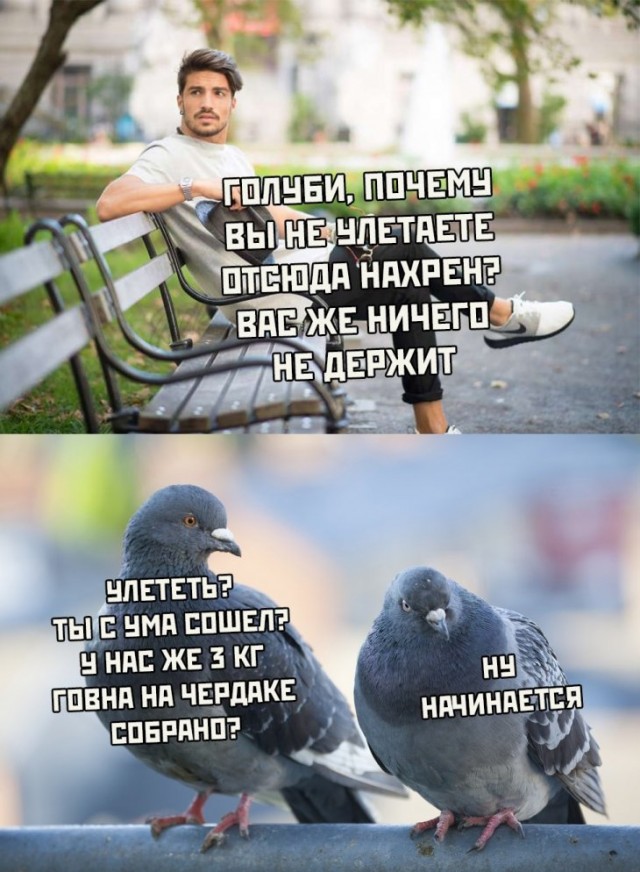 Немного картинок для настроения
