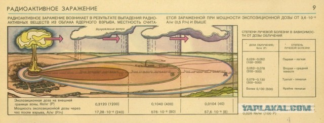 Я живу в эпицентре экологической катастрофы