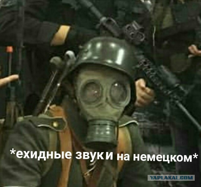 Завелась семья кротов!