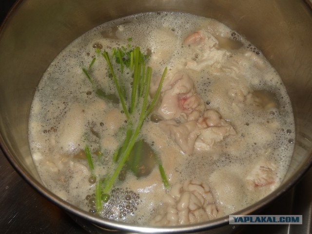 паштет из мозгов / кулинария