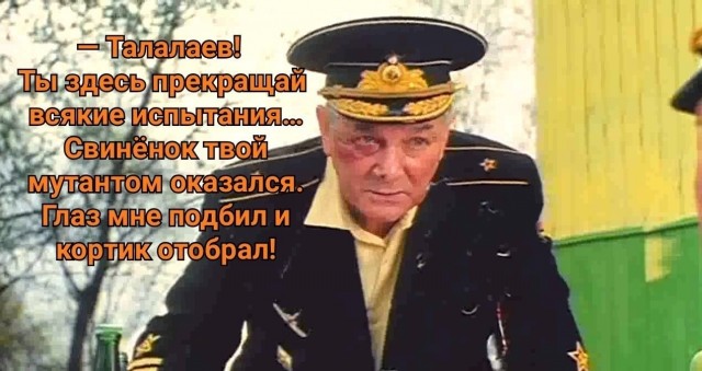 В Джубге бомжи избили казаков