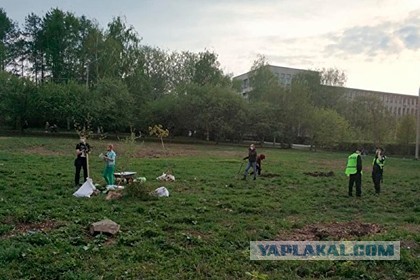 Россияне посадили деревья и превратились в экстремистов