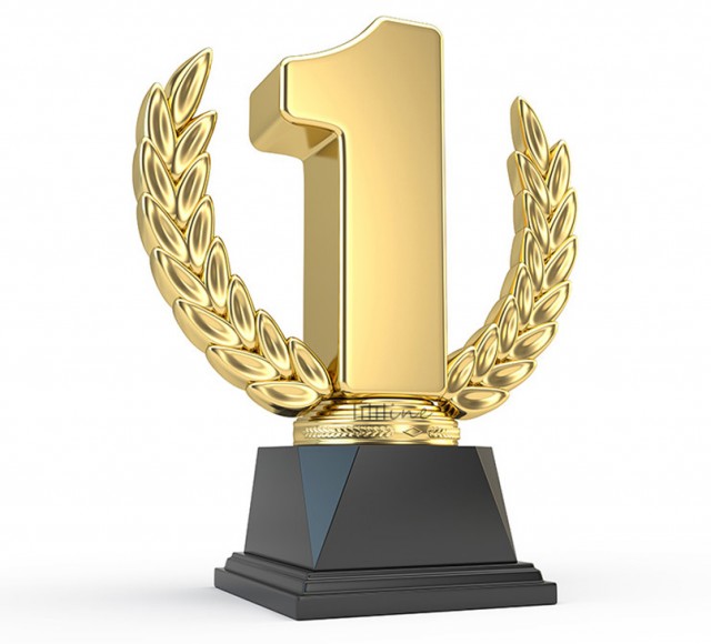 10 лет брака псу под хвост