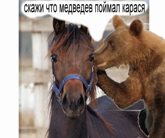 Маша-а-а!Аууууу!