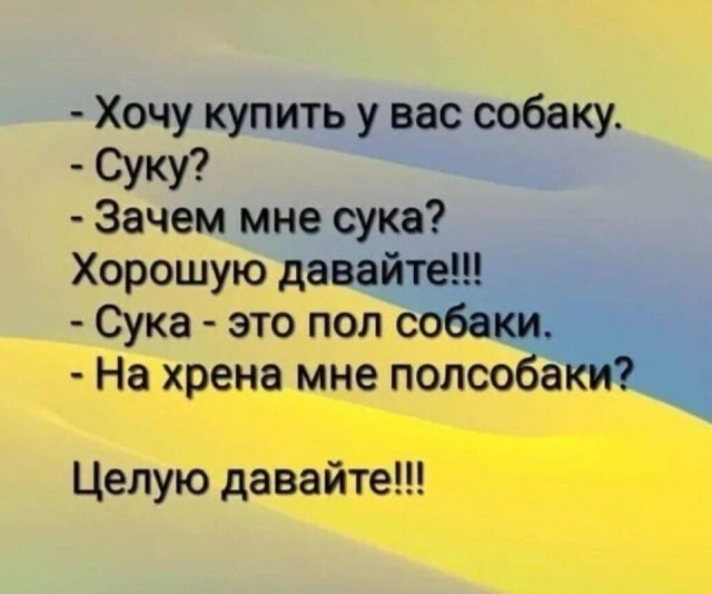 Юмор в картинках 13.10.20