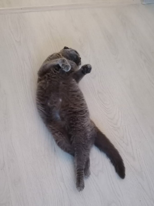 Моя красотка