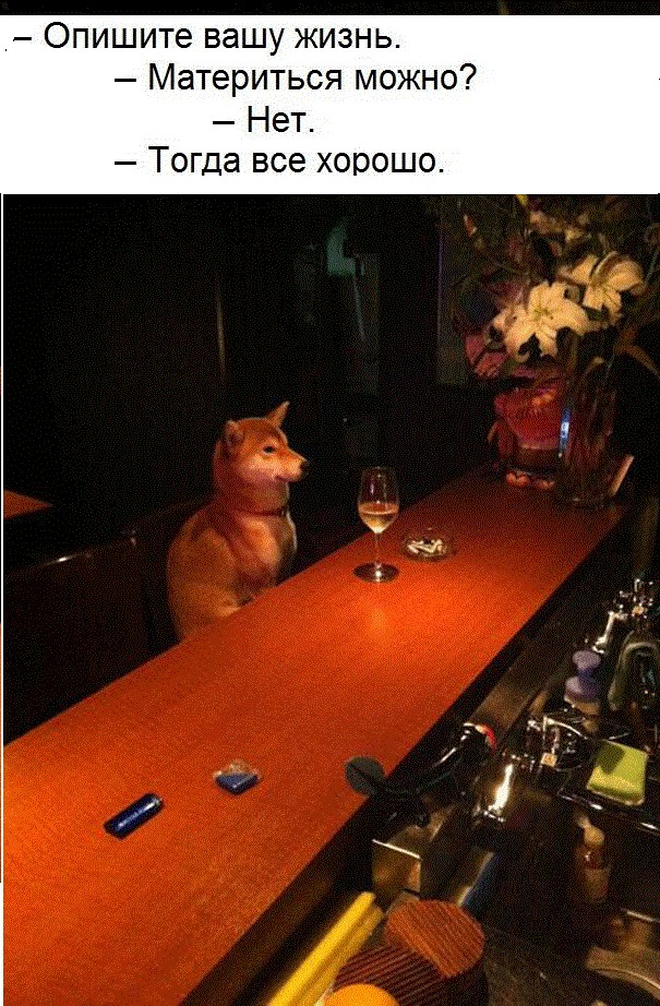 15123927.jpg