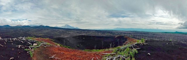 Камчатка, Толбачик