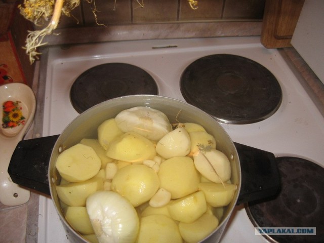 Картошечка