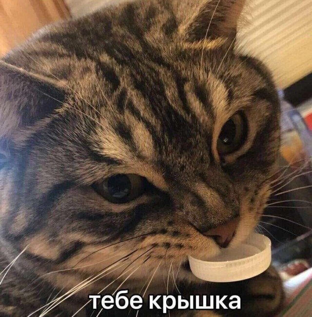 Так себе картинки 11.07.21