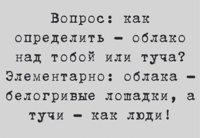 Юмор и прикольные картинки