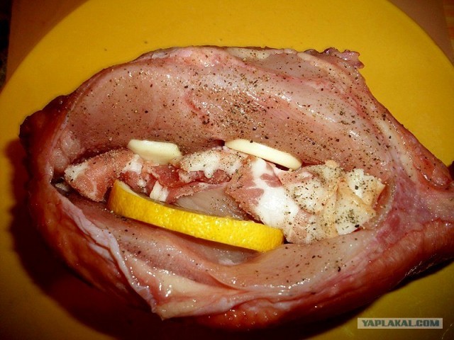 International одной книги., В память о Дженибеке.