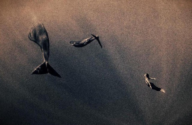 Завораживающие работы от Gregory Colbert.