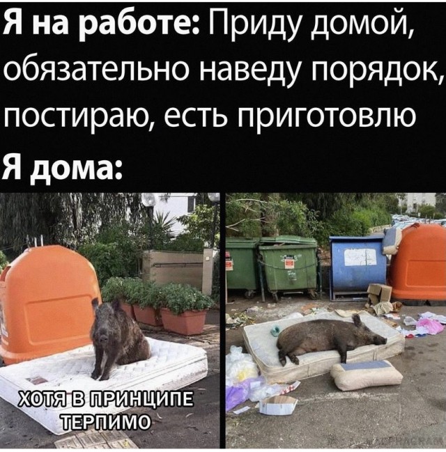 Так себе картинки 07.10.21