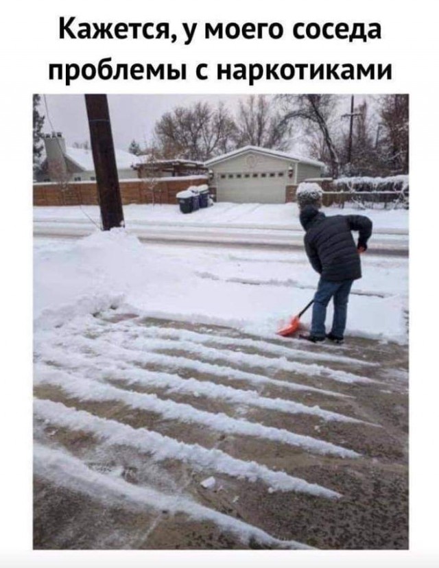 Всяческие картинки 15.11.2021