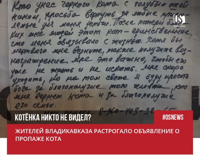 Жителей Владикавказа растрогало объявление о пропаже кота