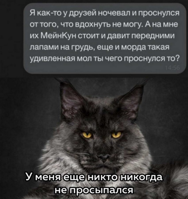 Всяческие картинки 10.12.2021