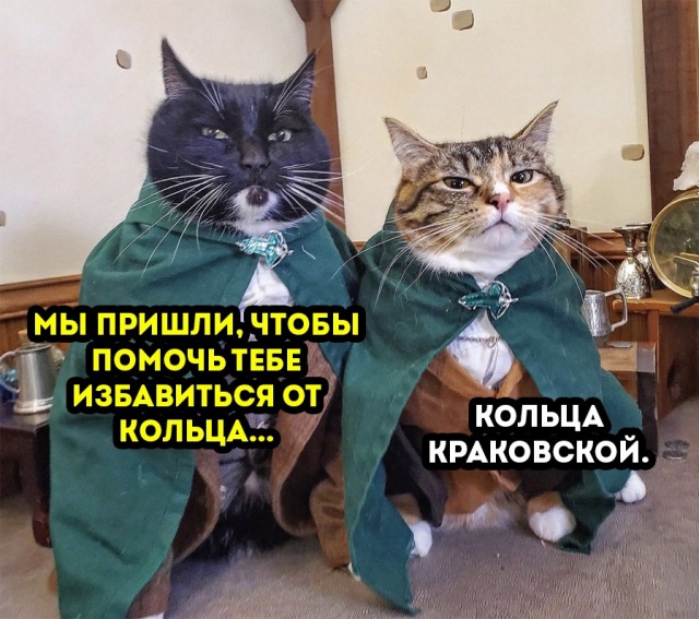 Так себе картинки 24.02.22