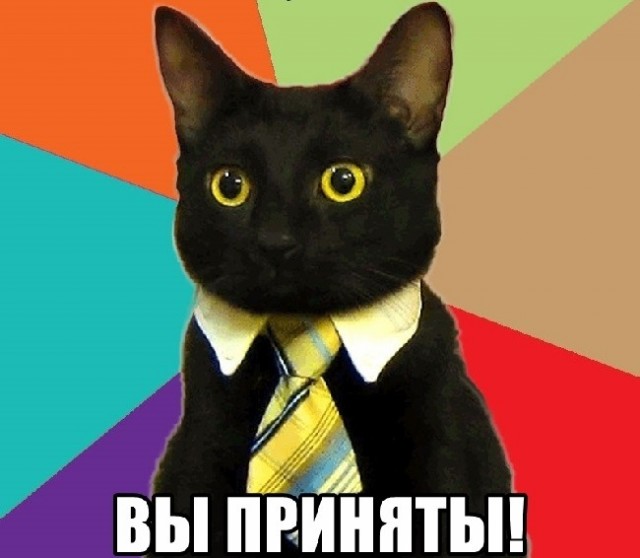 Жёсткий собачий бой
