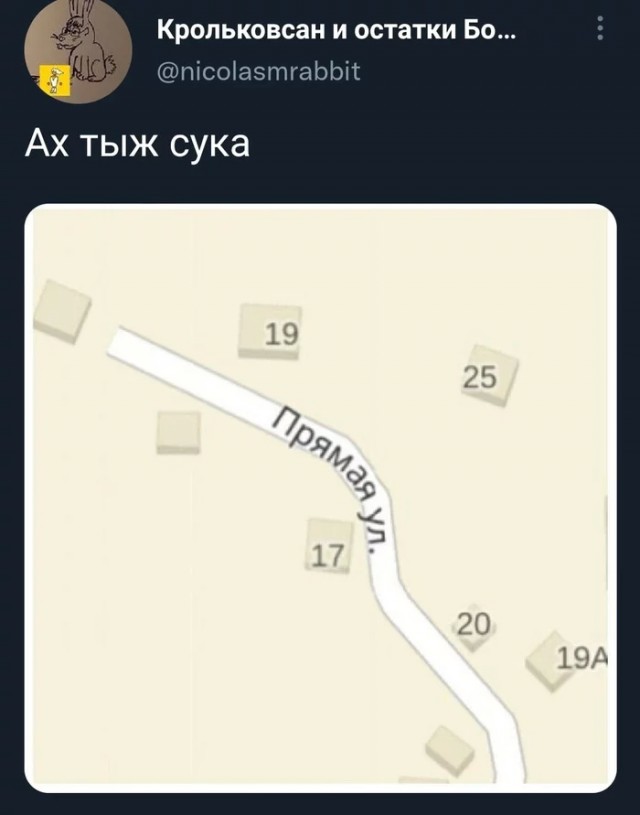 Весёлый полтишок 20.03.22