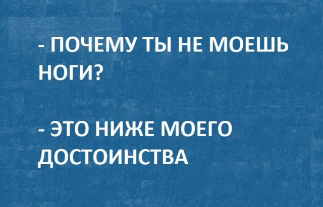 Весёлый полтишок 28.04.22