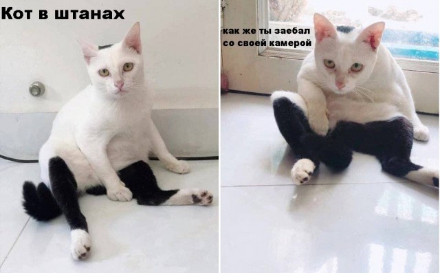 Так себе картинки 06.06.22