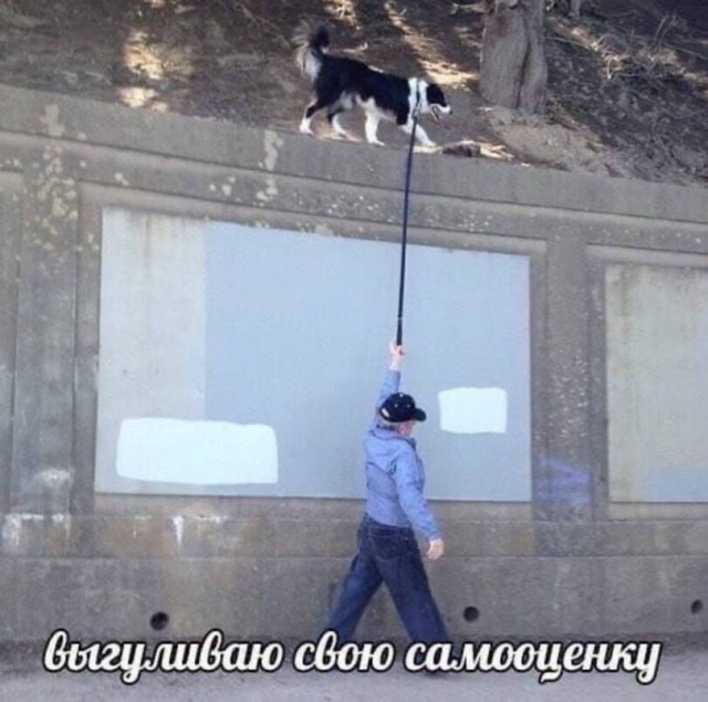 Юмор из Сети 20.06.22