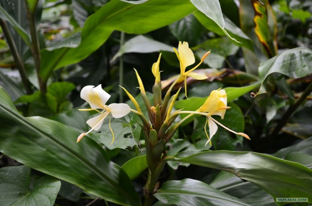 Путешествие по Северной Америке