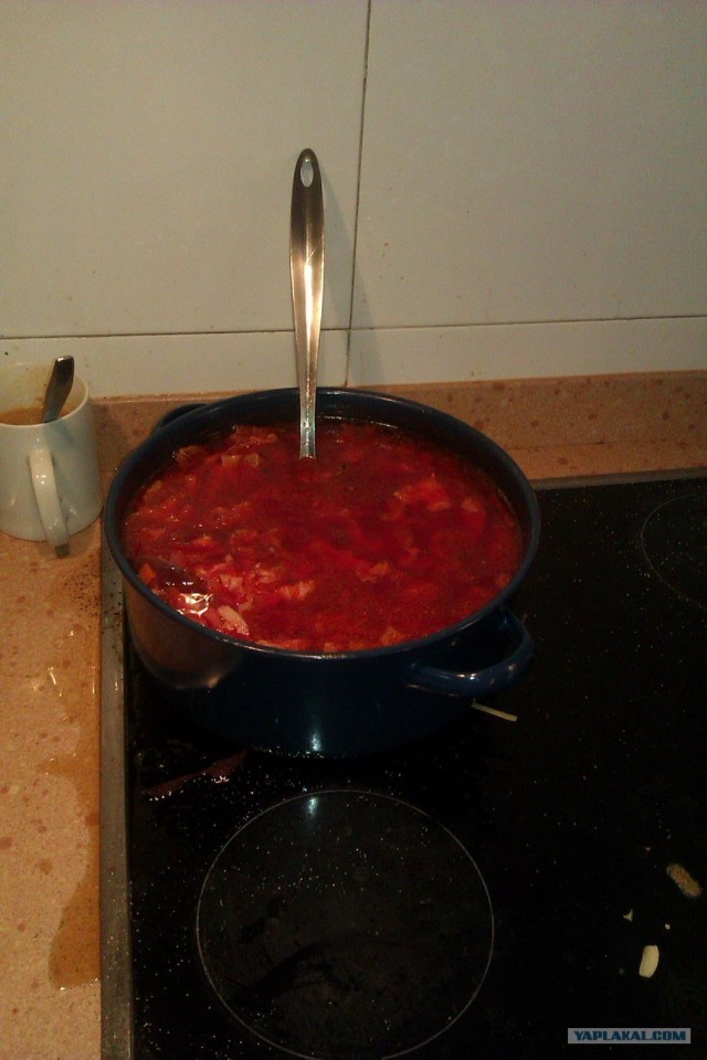 500 км. по Испании пешком