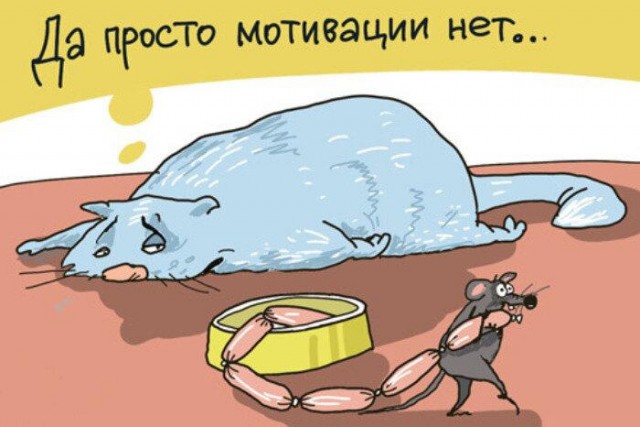 Лааадно, сиди дома, квартирант