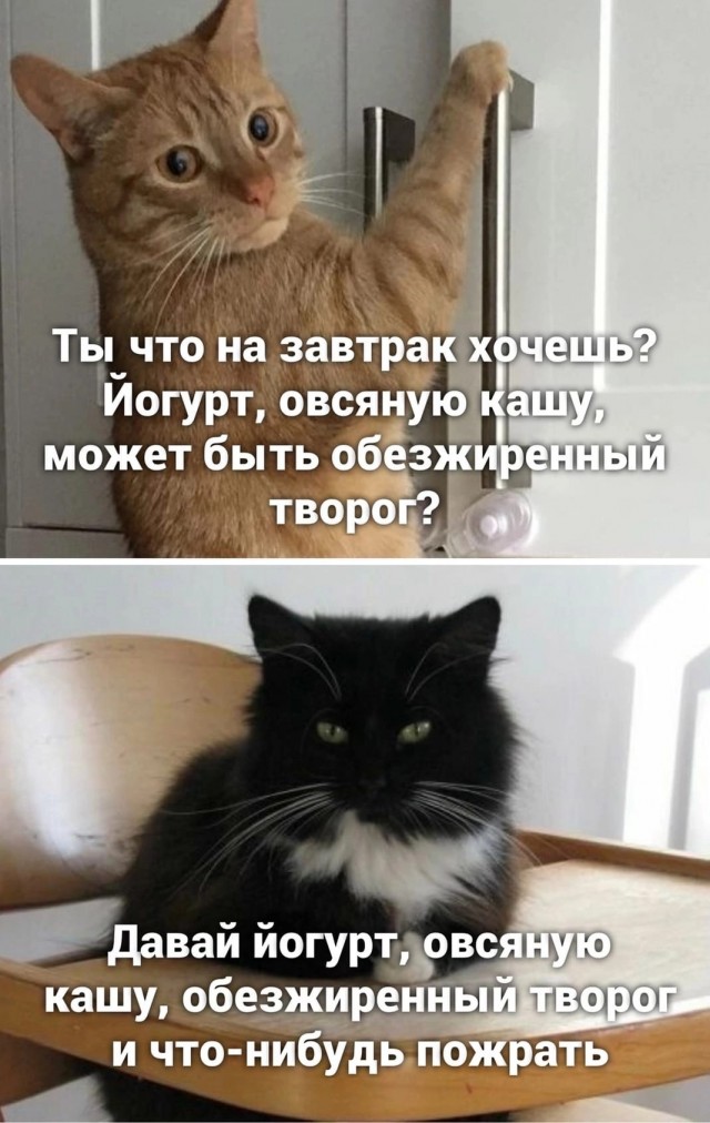 Весёлый полтишок 10.10.22