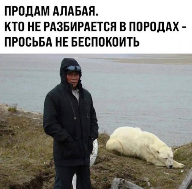 Деградация лайт 14.10.2022