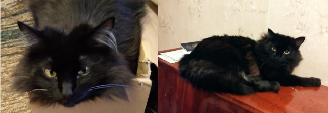 Меня сегодня выбрали