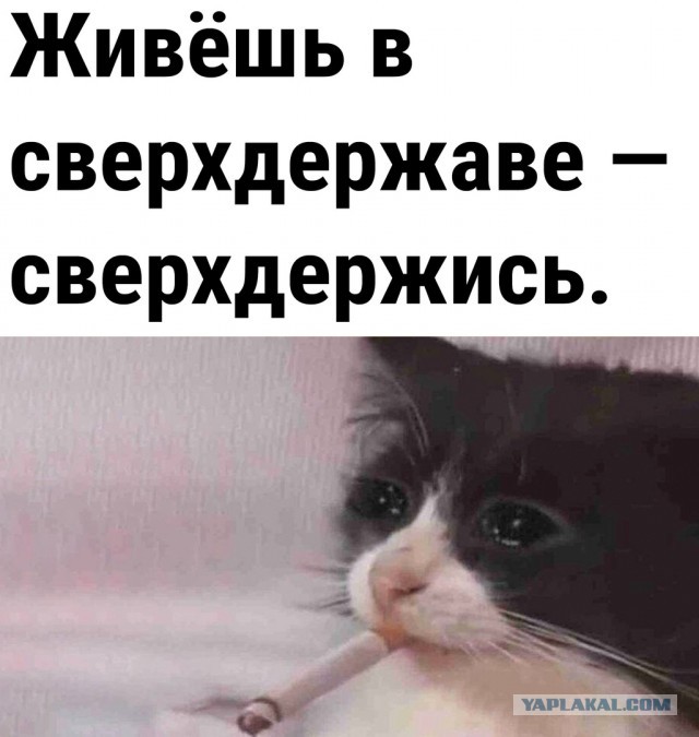 Обращение жен и матерей мобилизованных из Курской области
