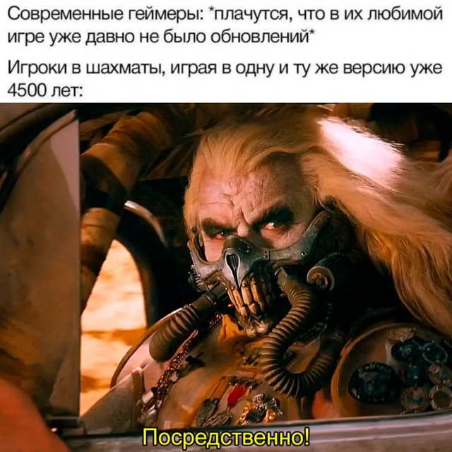 Весёлый полтишок 10.11.22
