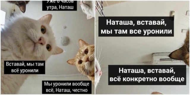 Вира! Майна! Атас нах...