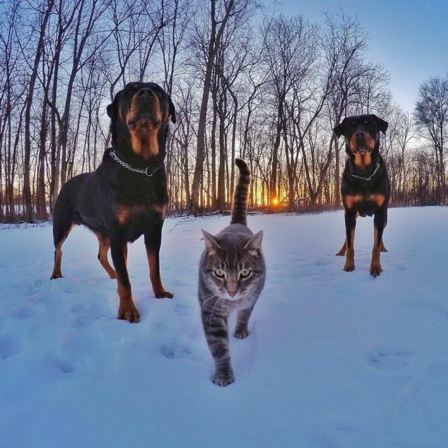 Нет, только показываю