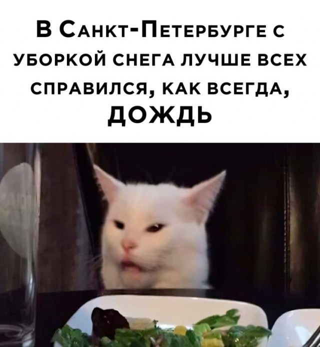 Картинки и мемы для настроения - 125