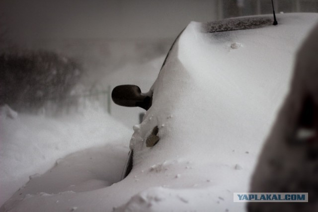 23 марта. Киев. Весна.