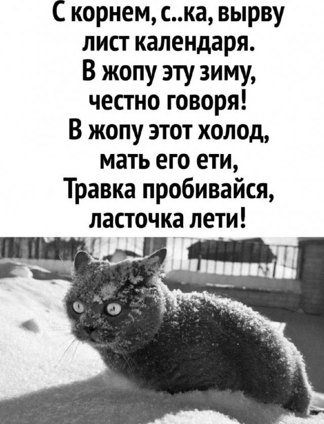 Немного картинок для настроения - 139