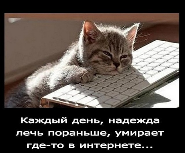 Вторничные веселые картинки с просторов Сети