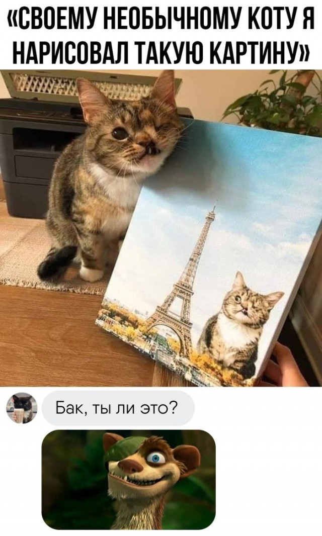 Картинки и мемы для настроения - 167