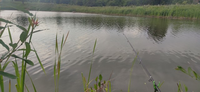 А пошло оно все...