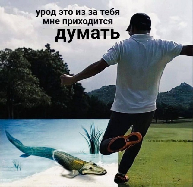 Отряд быстрого деградирования