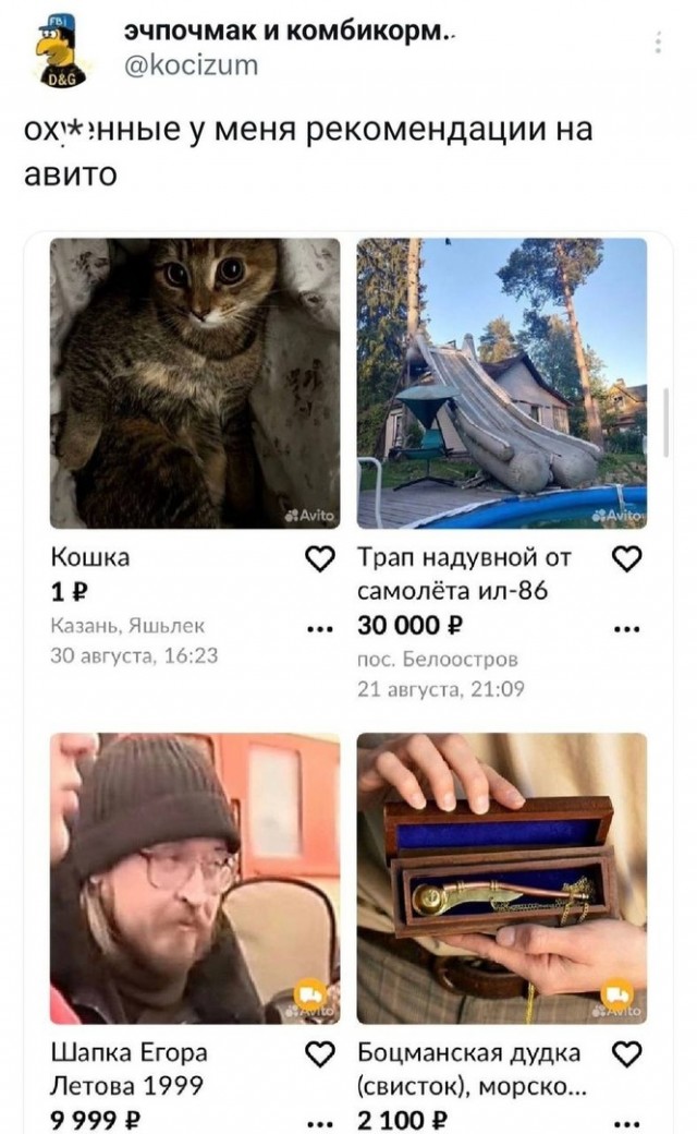 Так себе картинки 23.09.23