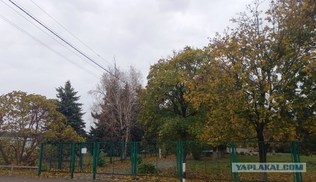 Как реагируют мужчины, когда узнают об измене жены?