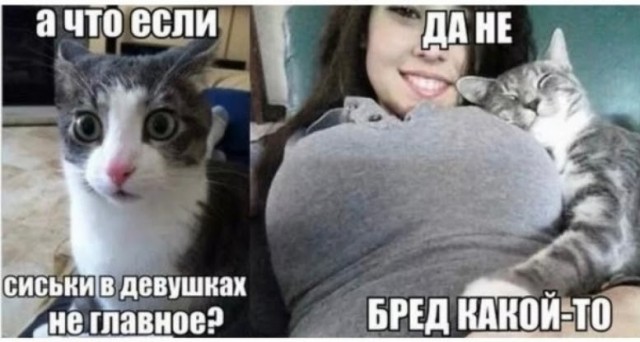 Себя покаж