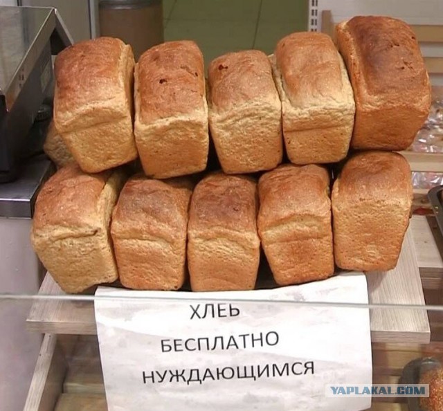 Социальный эксперимент, результат которого был заранее предсказуем