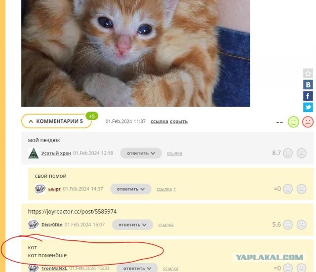Кот. Кот поменбше